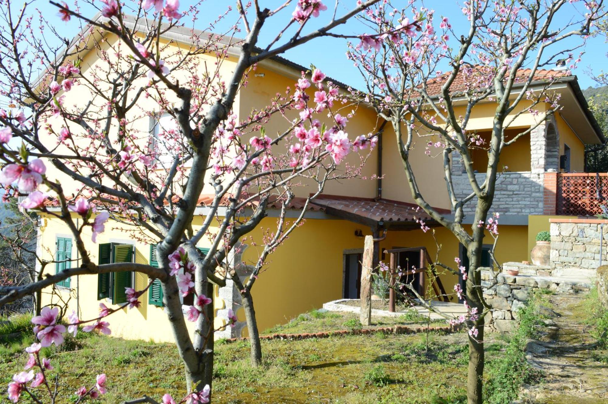 I Tre Grappoli Villa Corniglia Exteriör bild