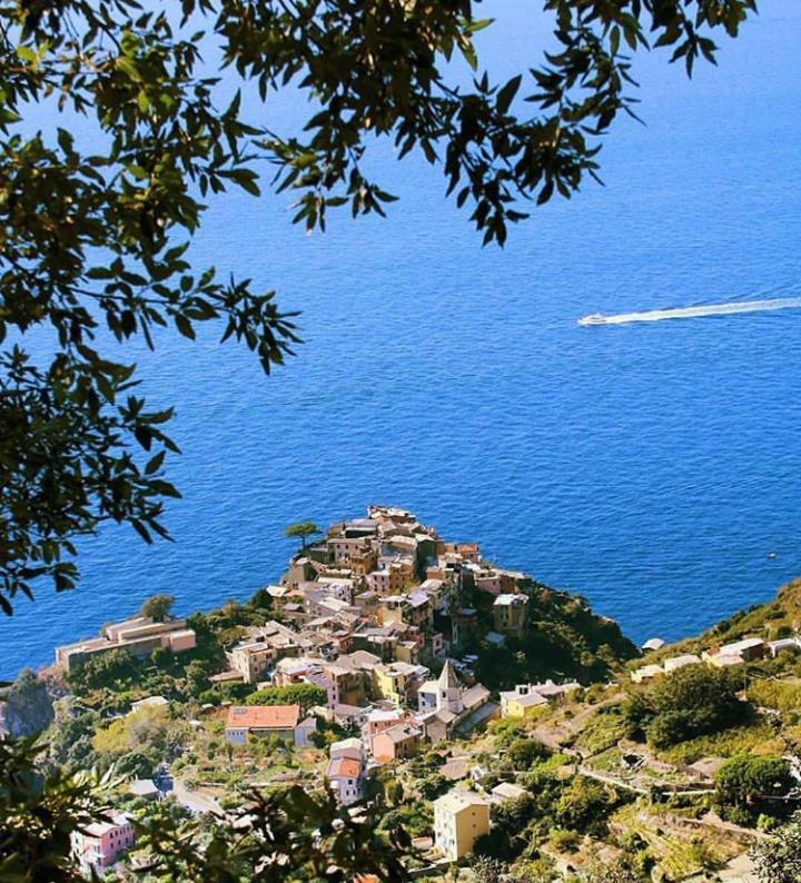 I Tre Grappoli Villa Corniglia Exteriör bild