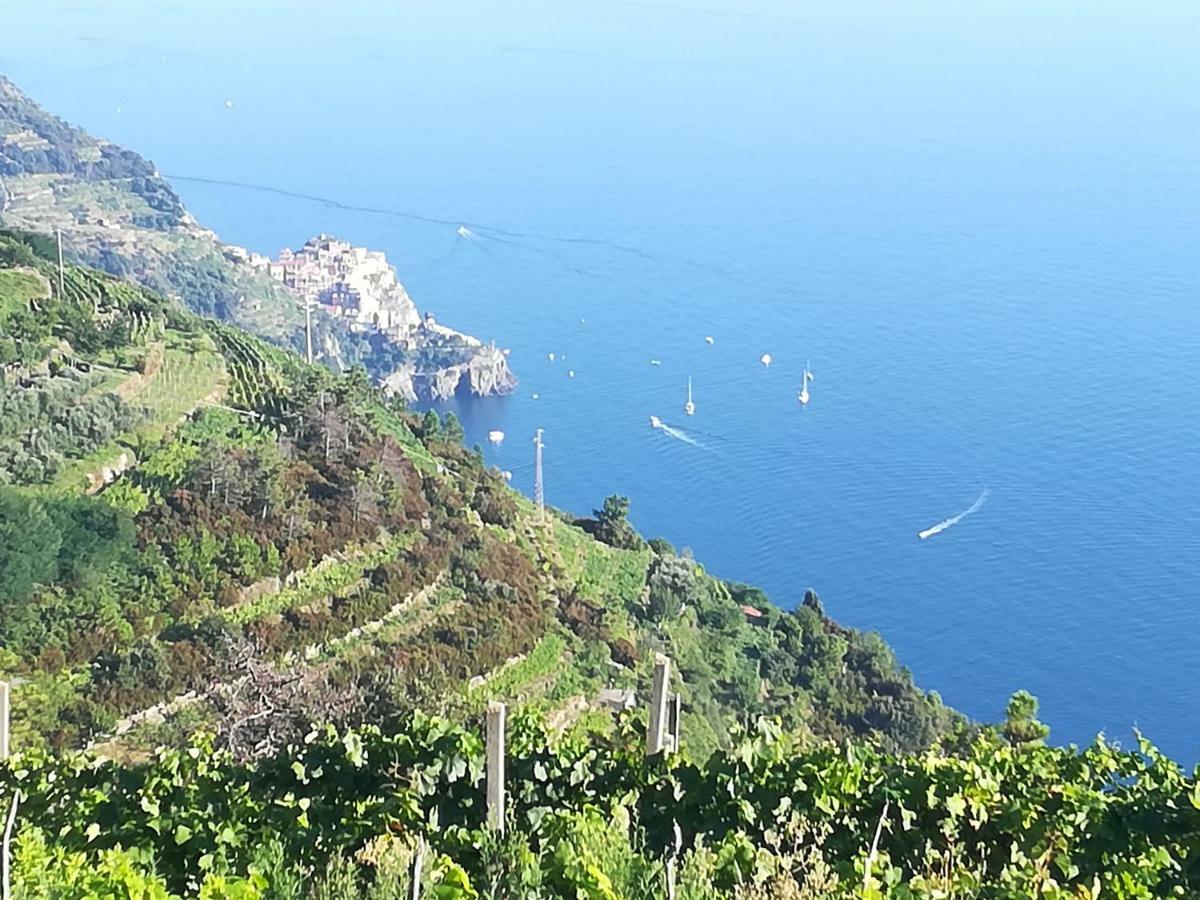 I Tre Grappoli Villa Corniglia Exteriör bild